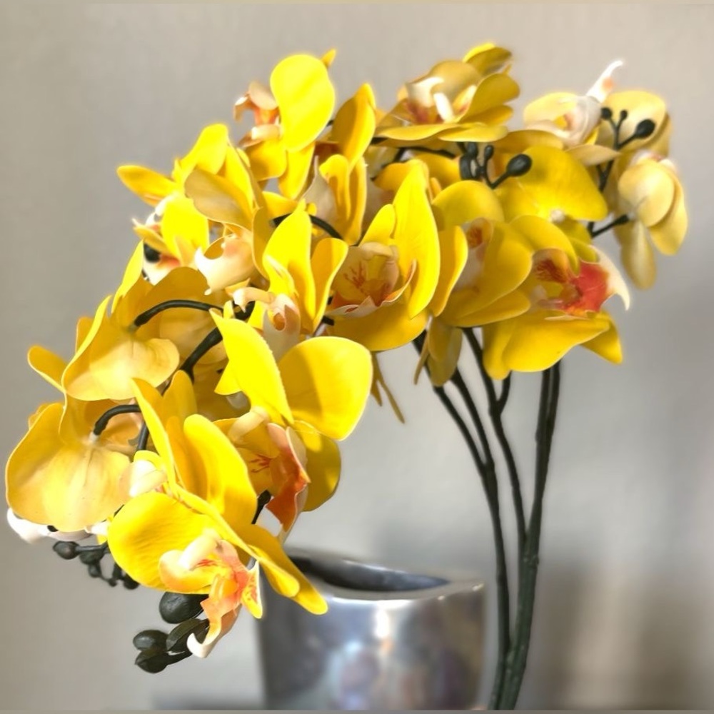 Gorgeous Realistic 24" Artificial Faux Phalaenopsis Moth Yellow Orchid Stem New